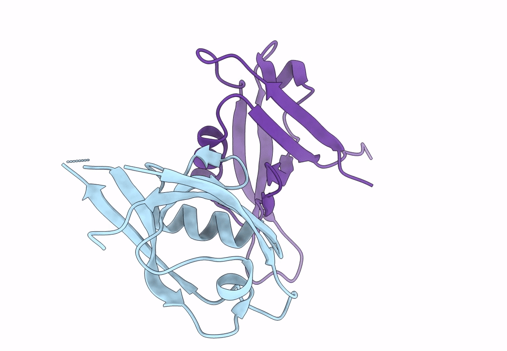 2PNT image