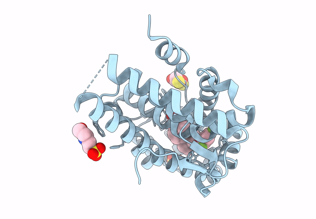 2PNU image