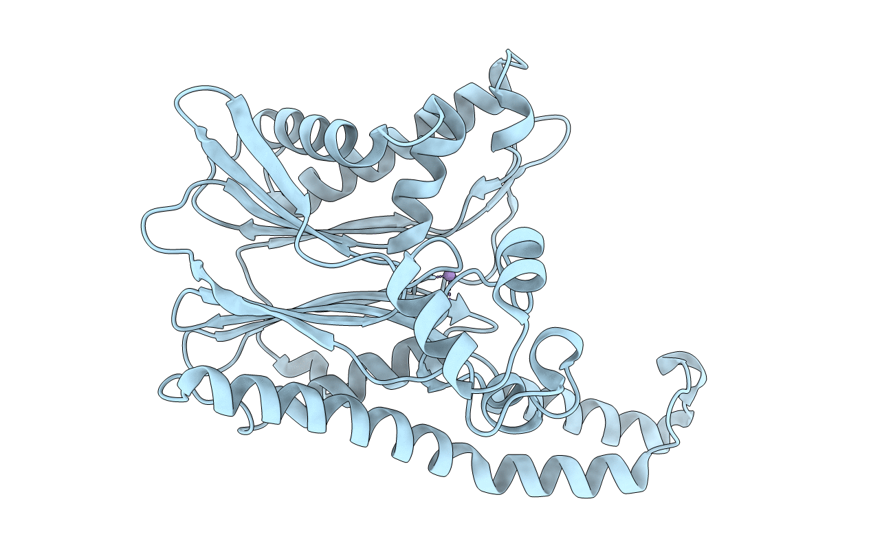 2POM image