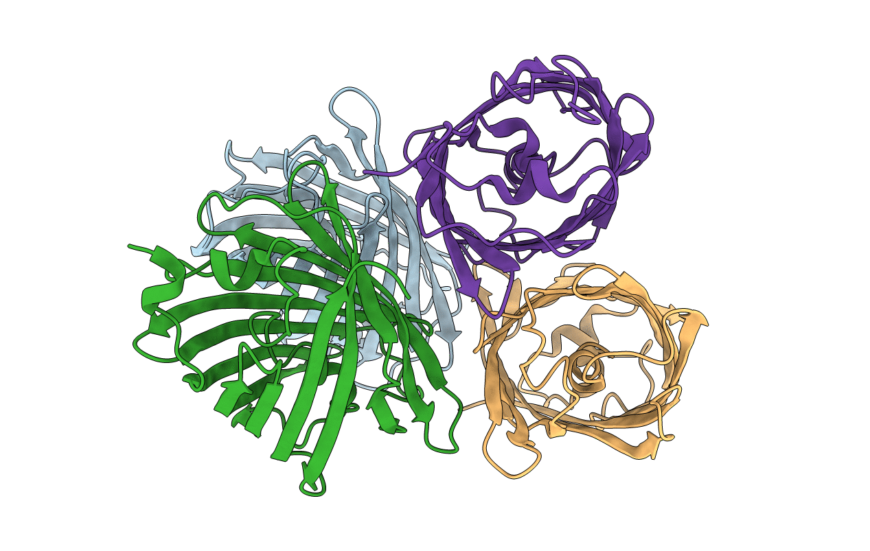 2POX image