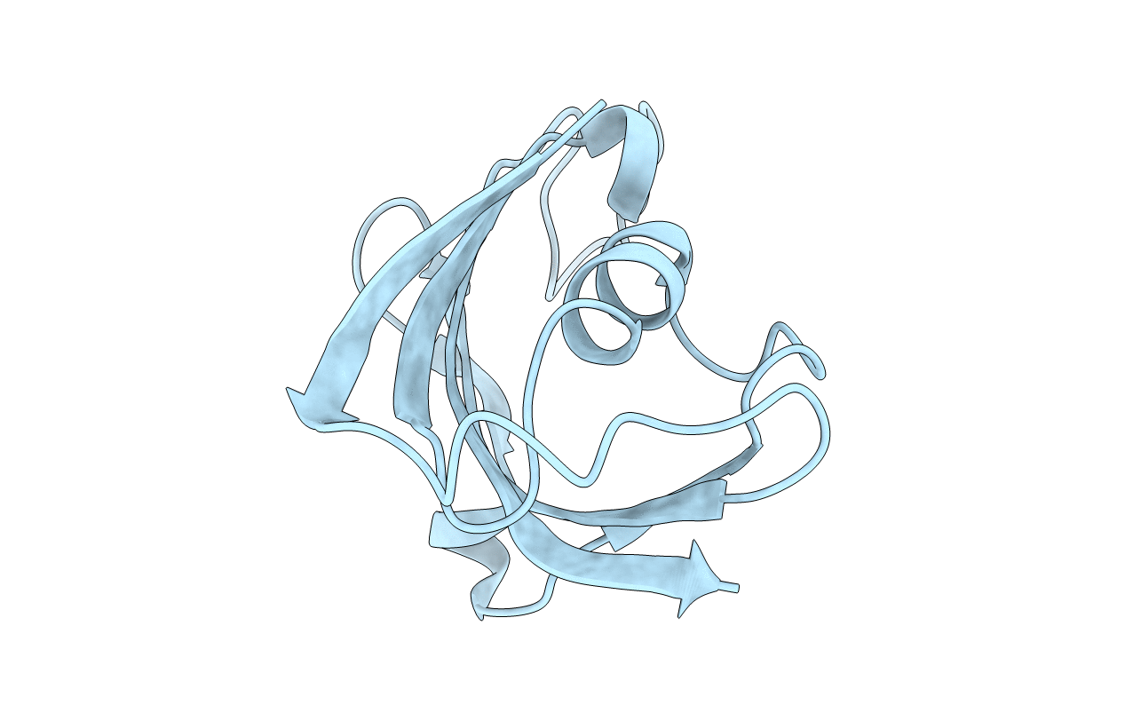 2PPN image