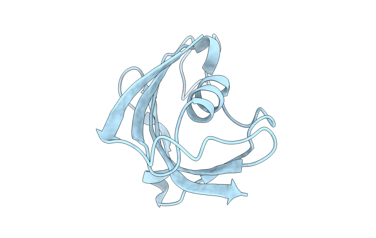 2PPO image