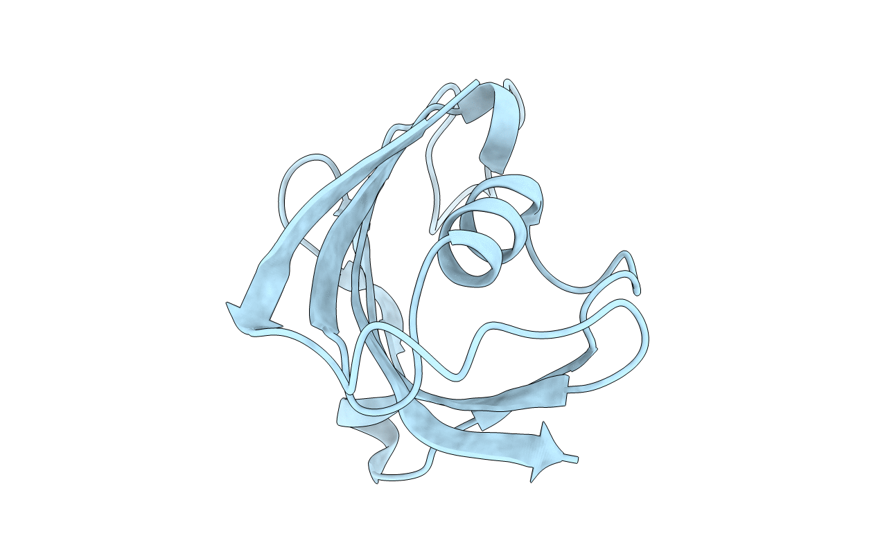 2PPP image