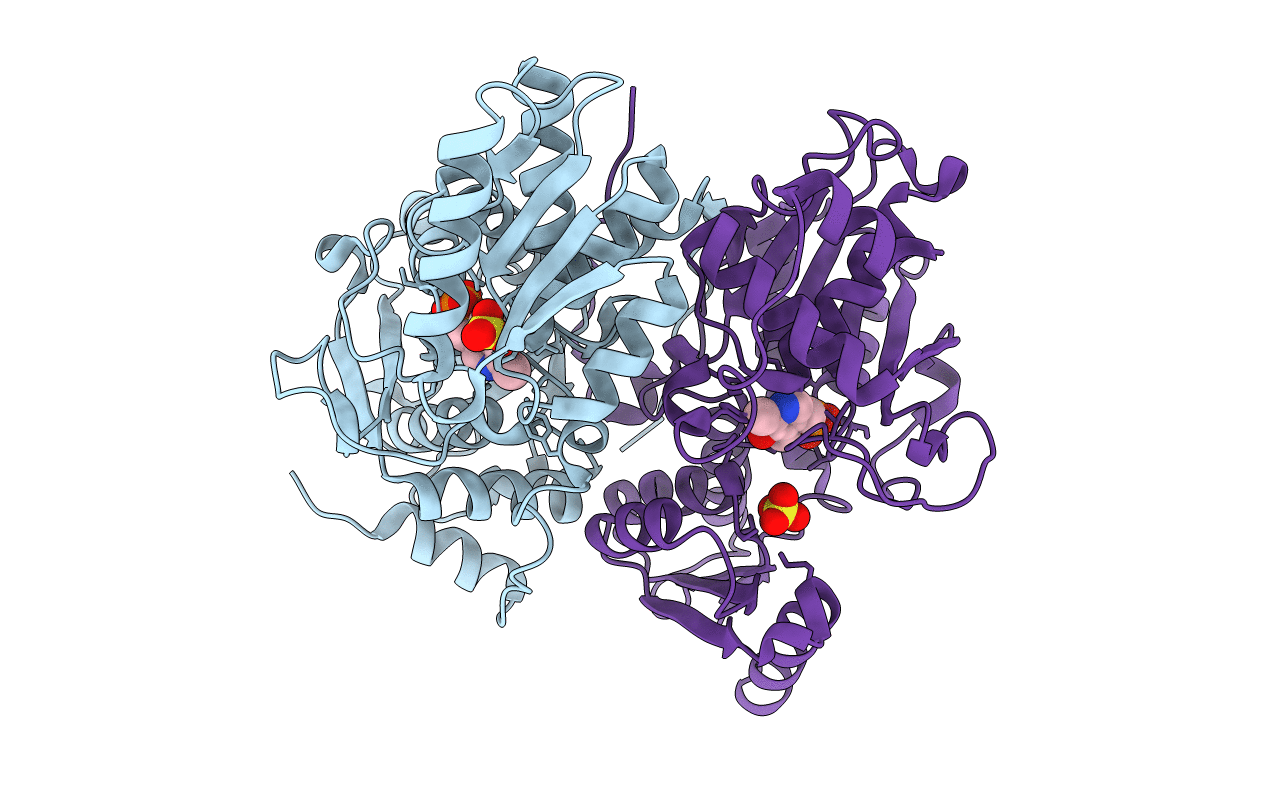 2PQM image