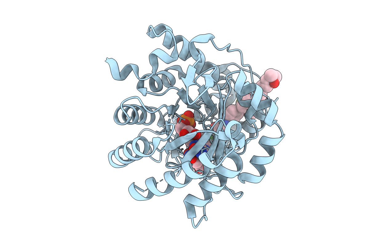 2PRH image