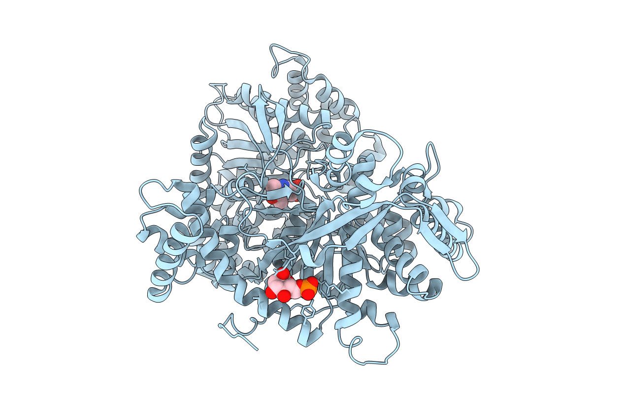 2PRI image