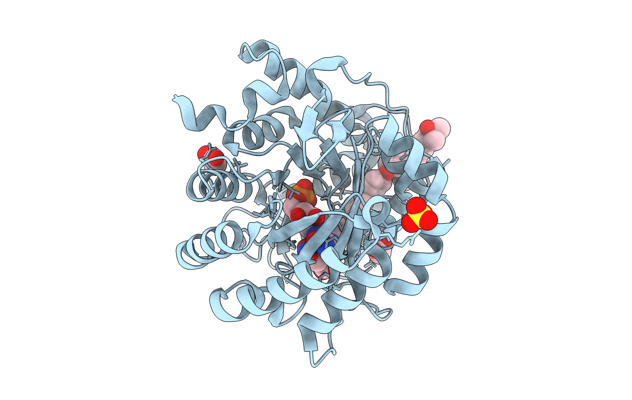 2PRL image