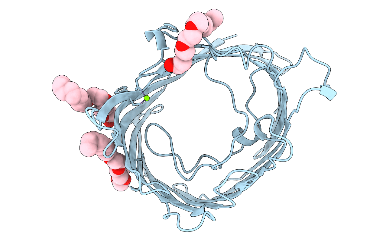 2PRN image