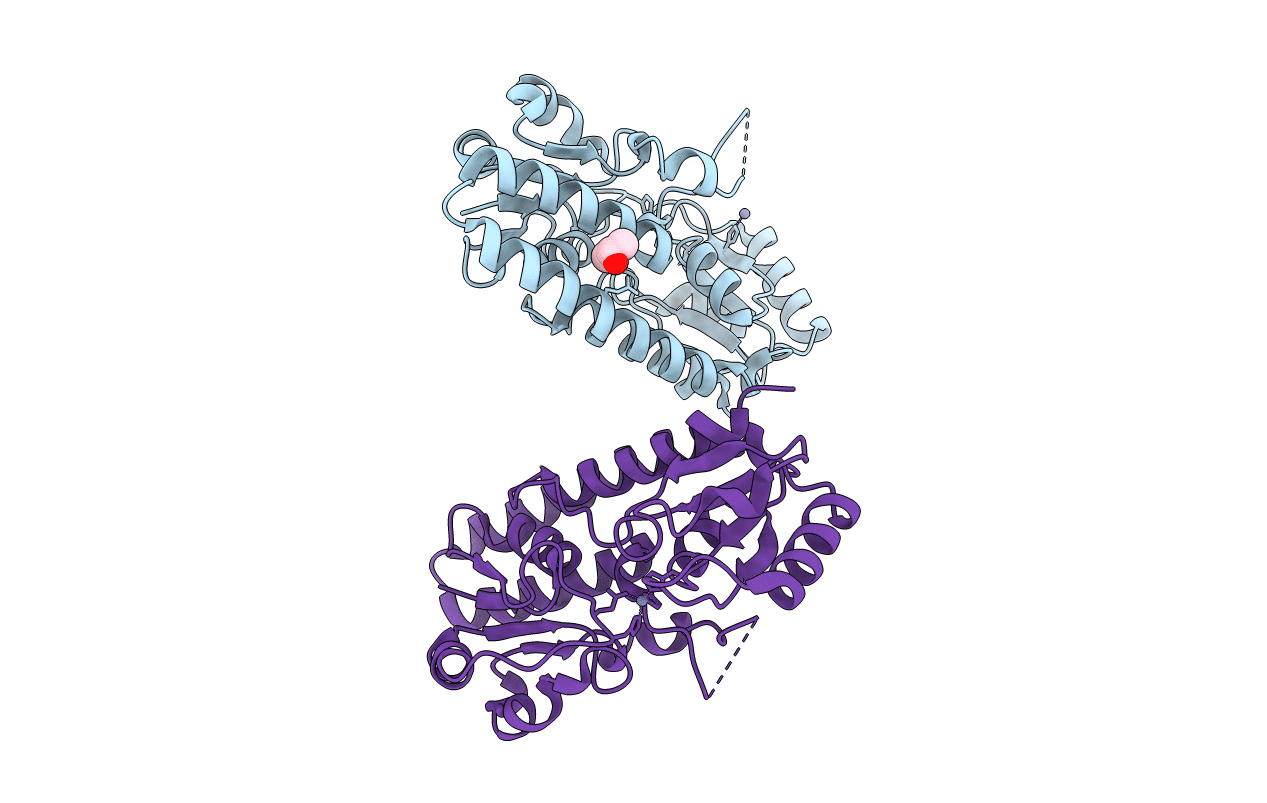 2PRS image