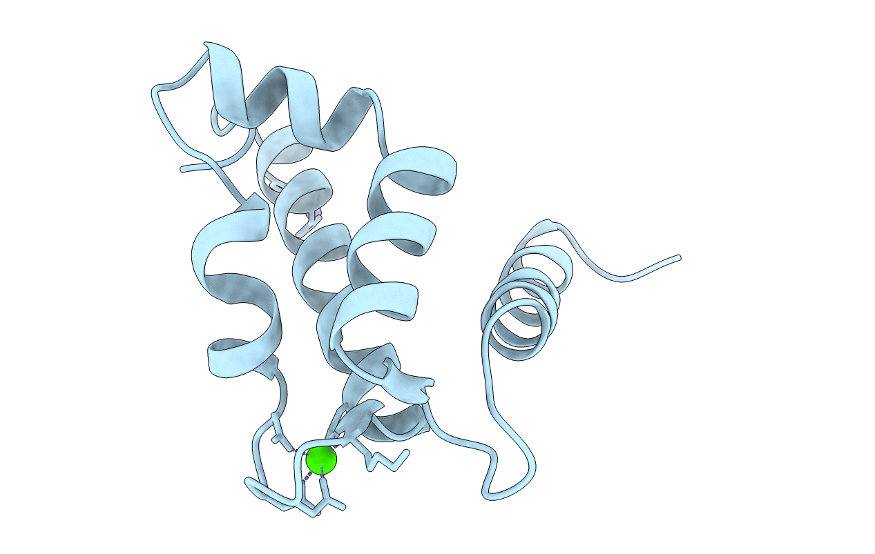 2PSR image