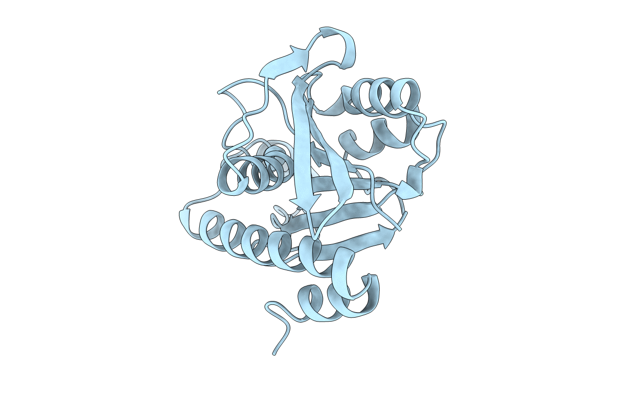 2PTH image