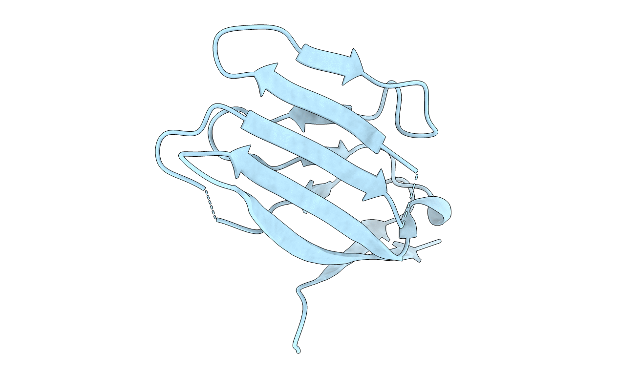 2PTV image
