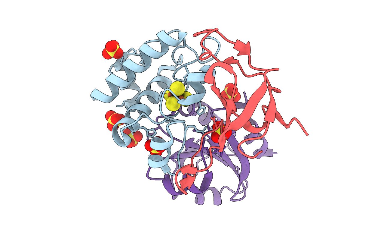 2PU9 image
