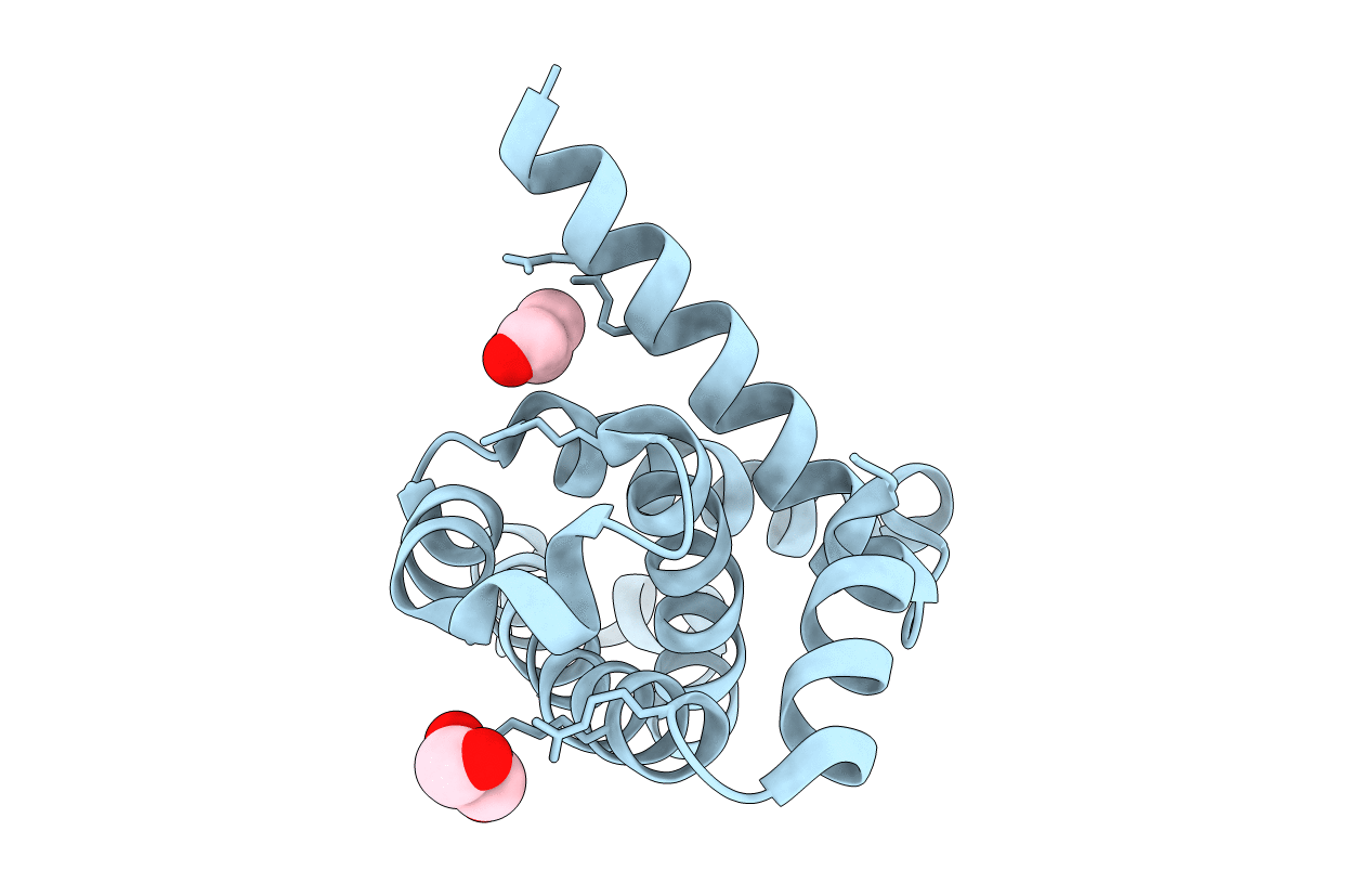 2PV4 image