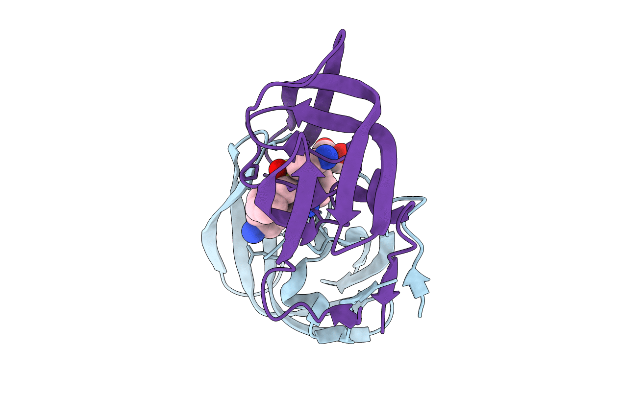 2PWC image