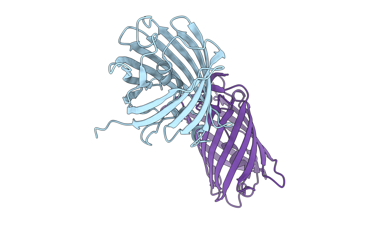 2PXS image