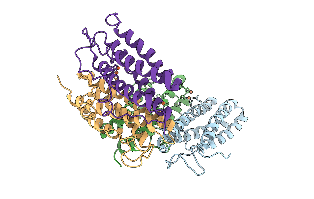2PYB image