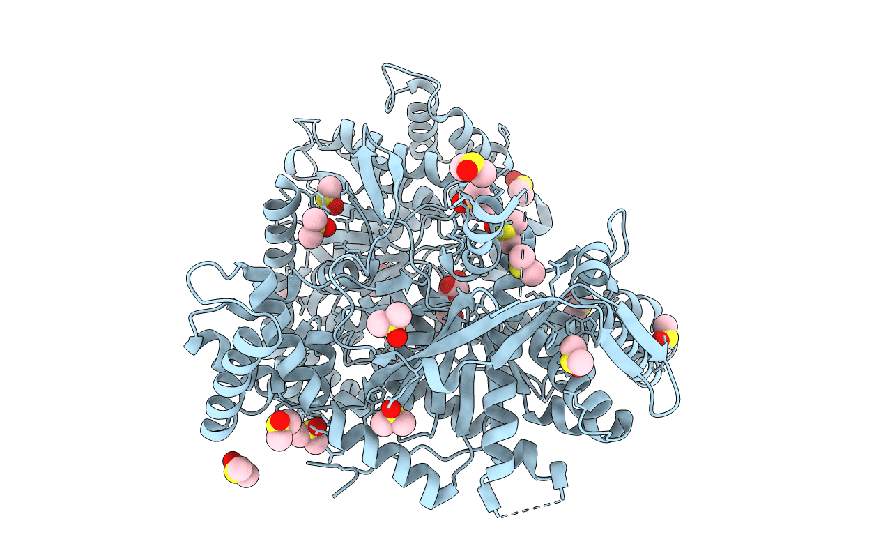 2PYD image