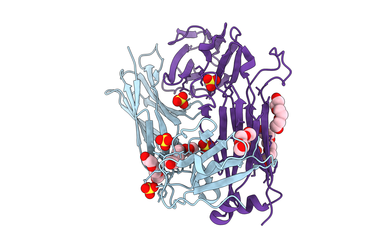 2PYF image