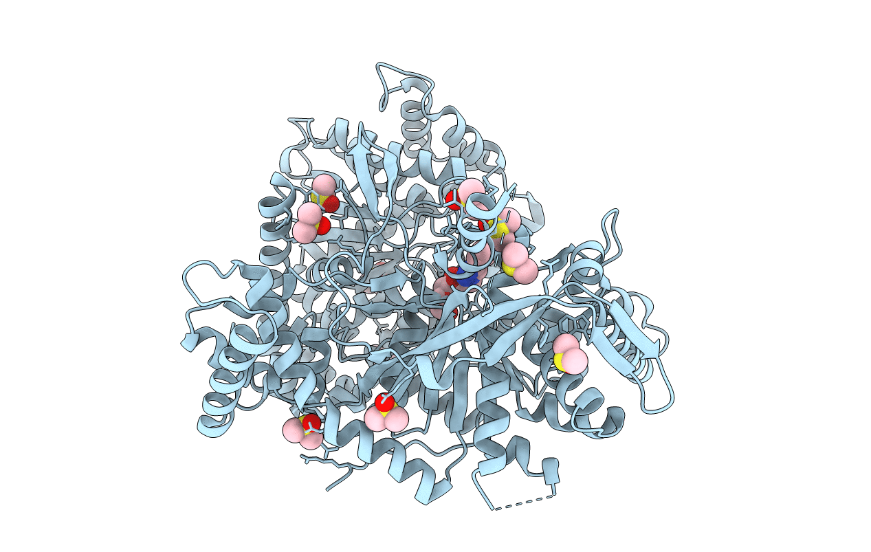 2PYI image