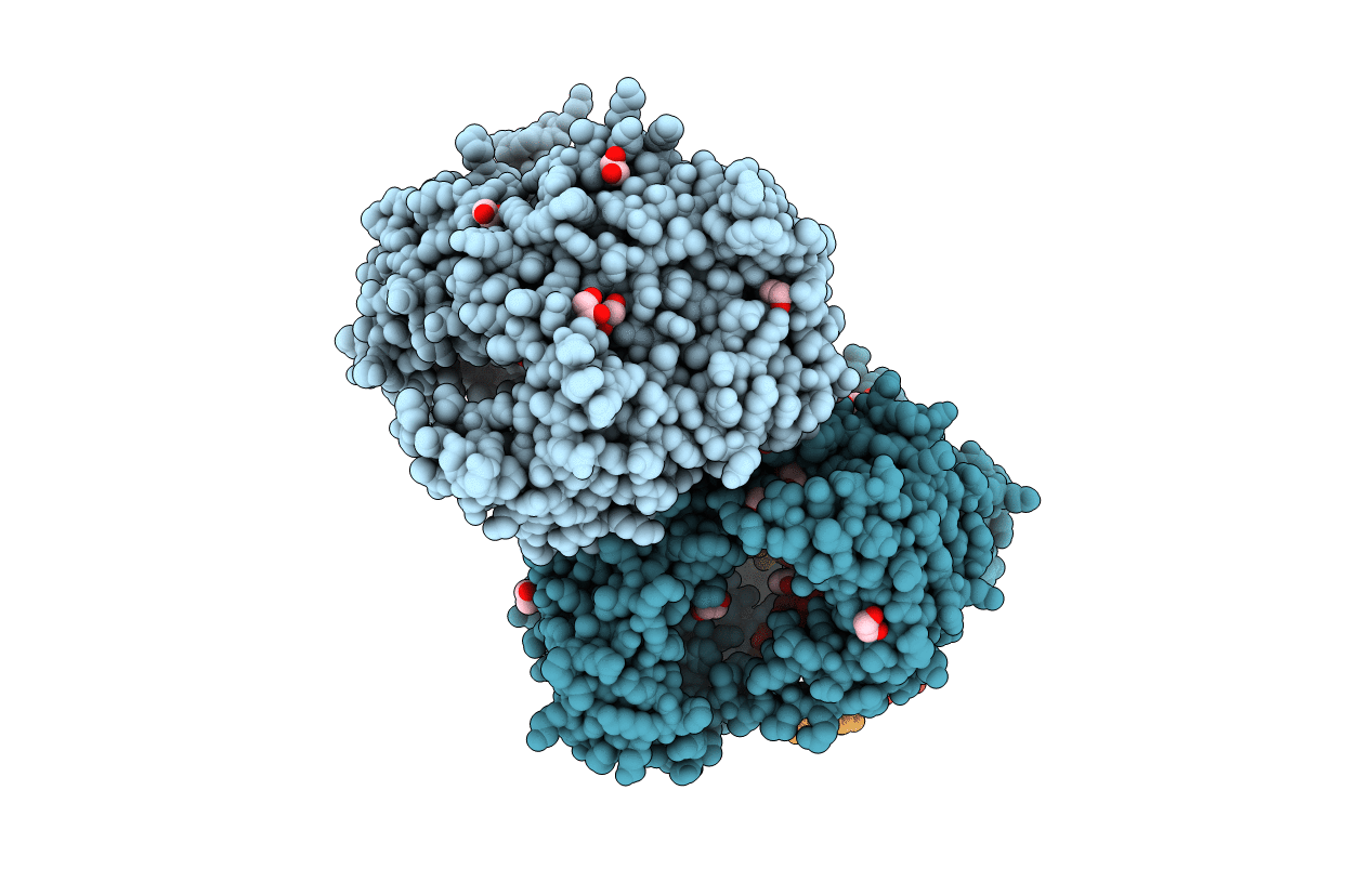 2PYJ image