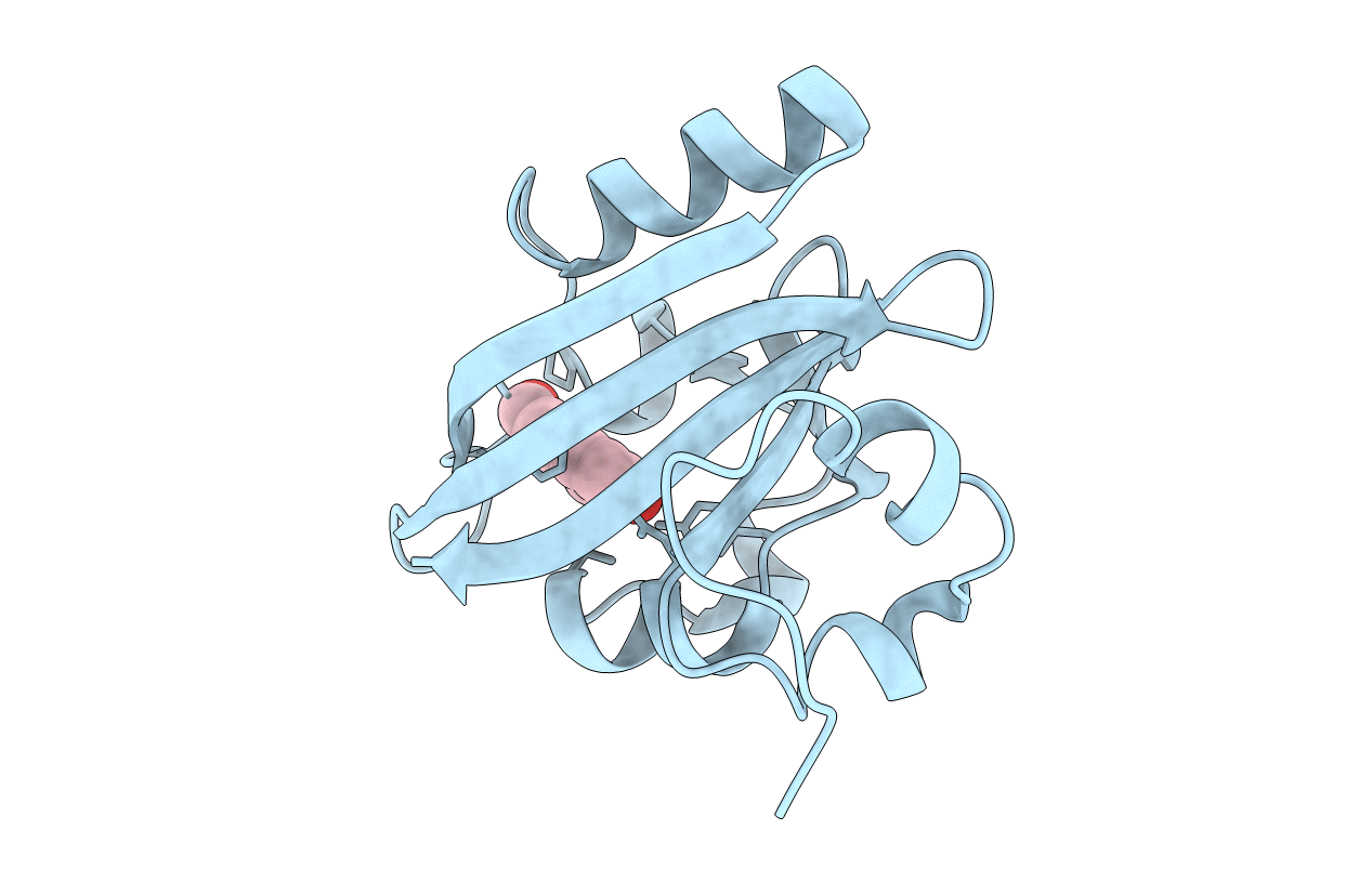 2PYP image