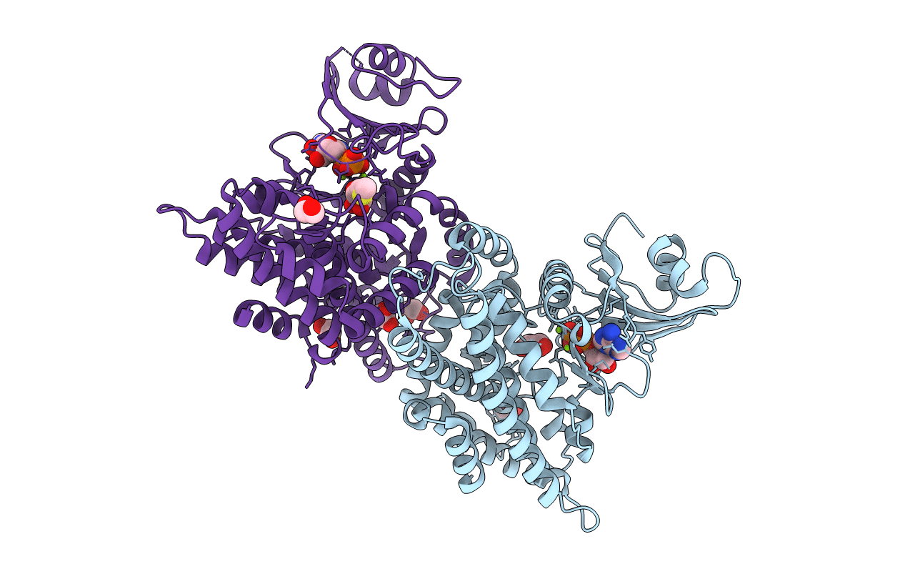 2PYW image