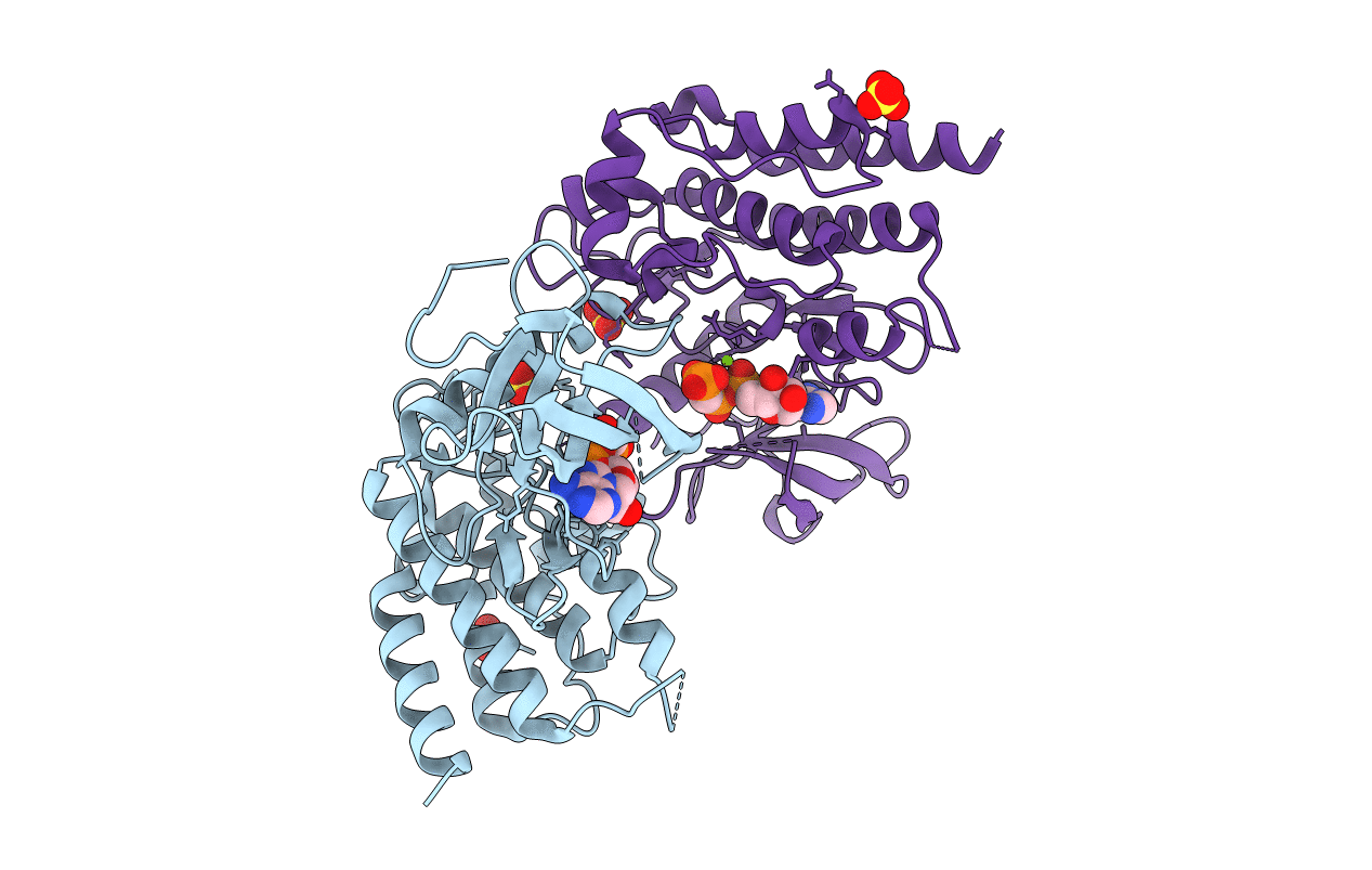 2PZ5 image