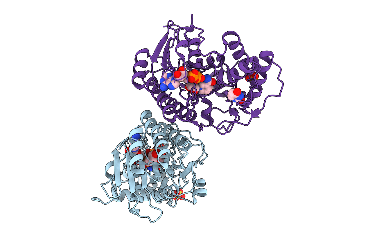2PZM image