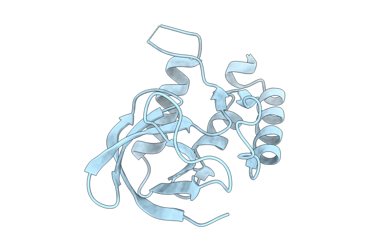 2PZW image