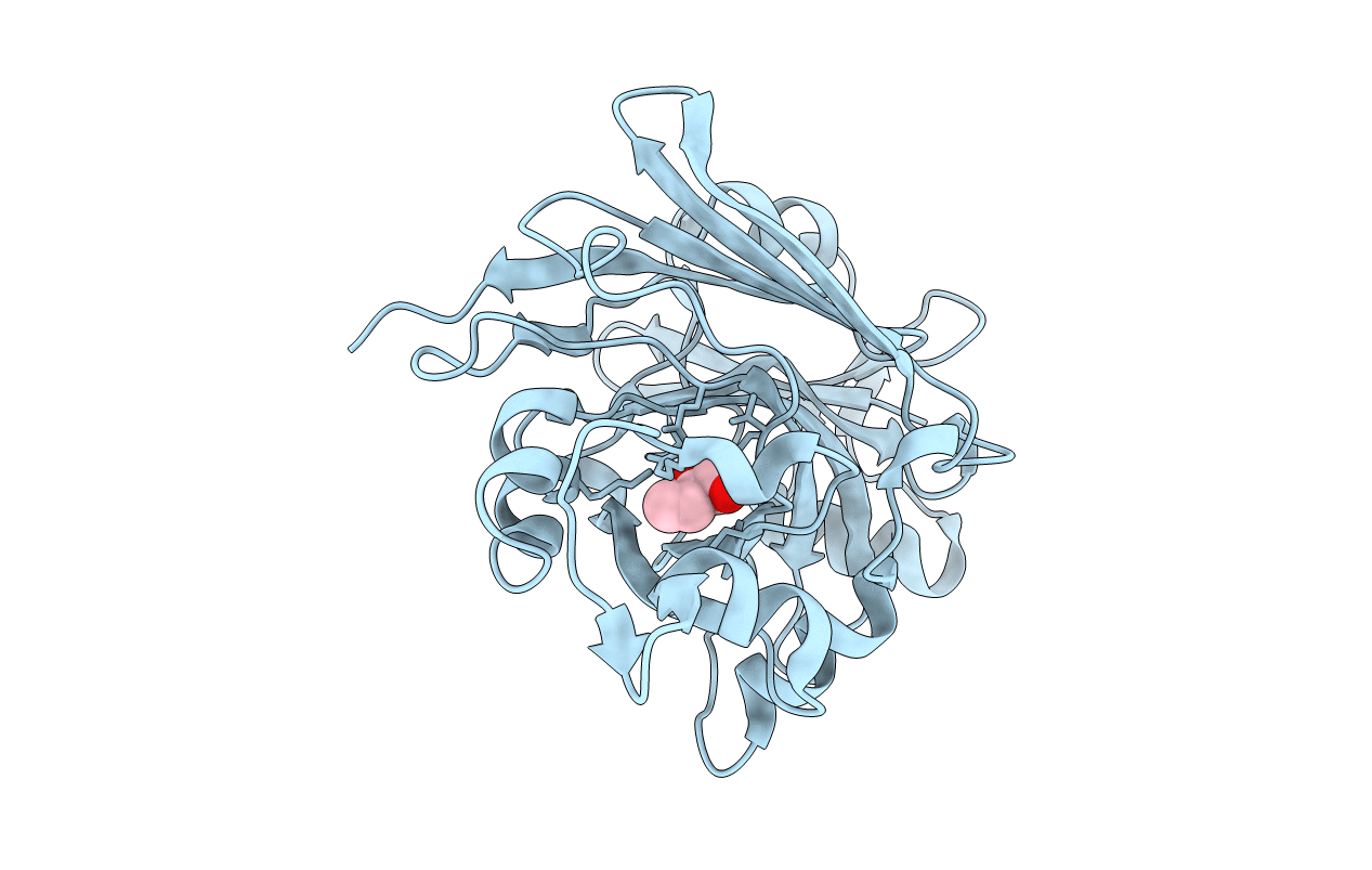 2Q1C image