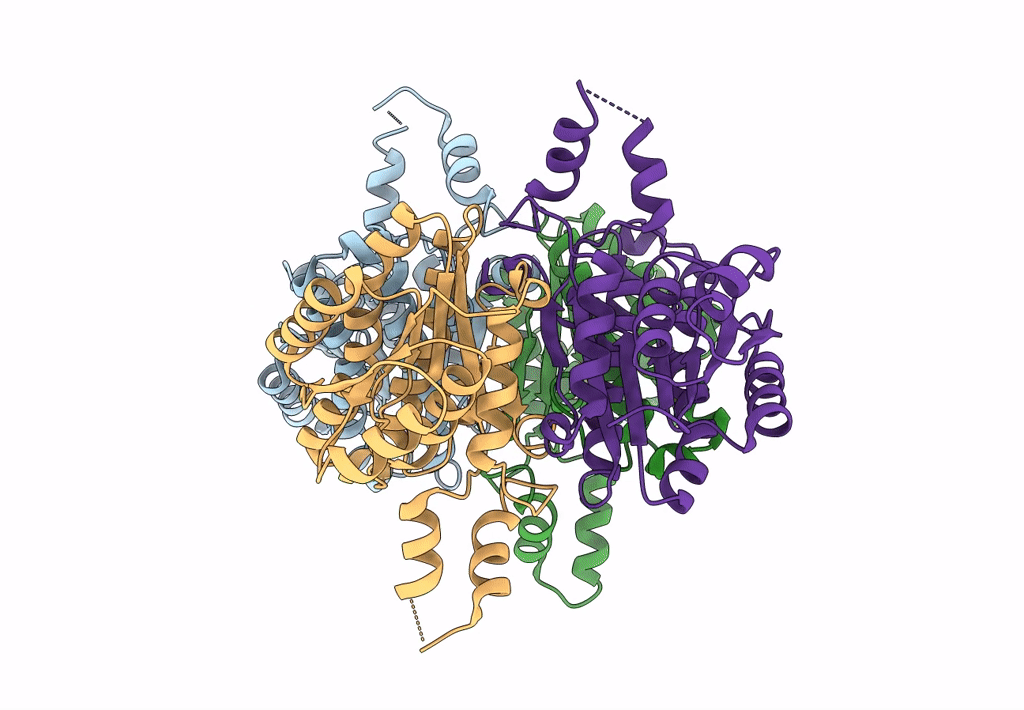 2Q2W image
