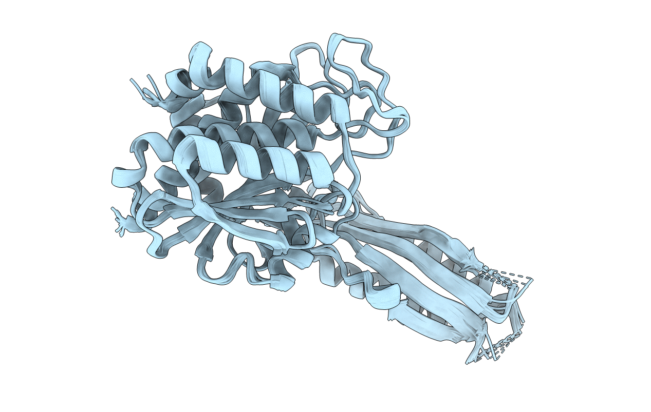 2Q43 image