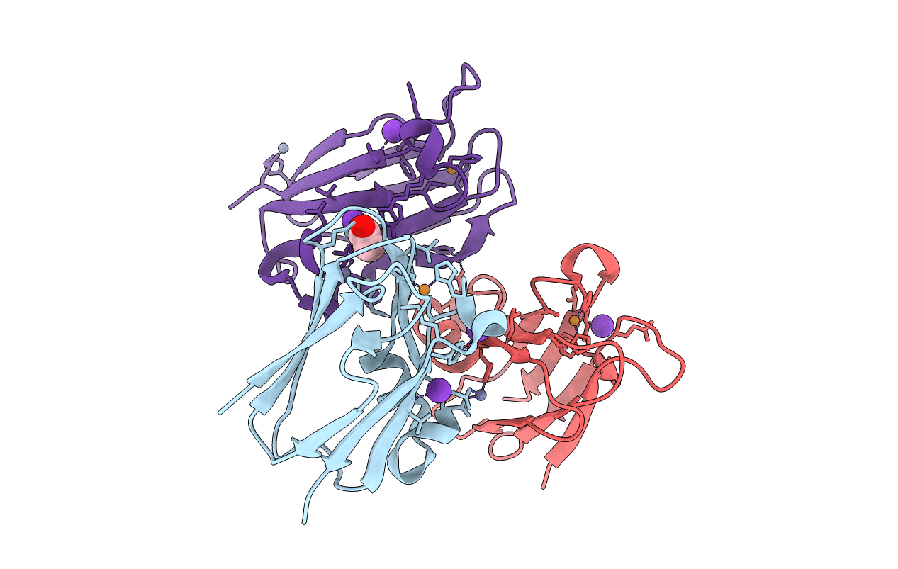 2Q5B image