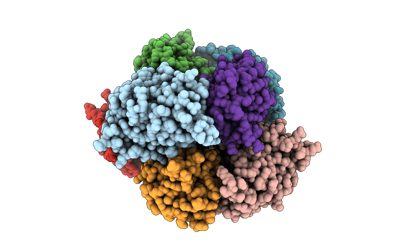 2Q5E image