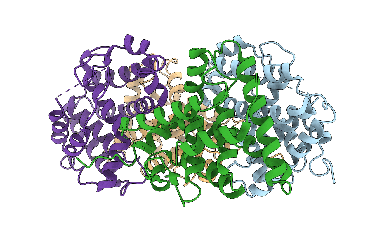 2Q60 image