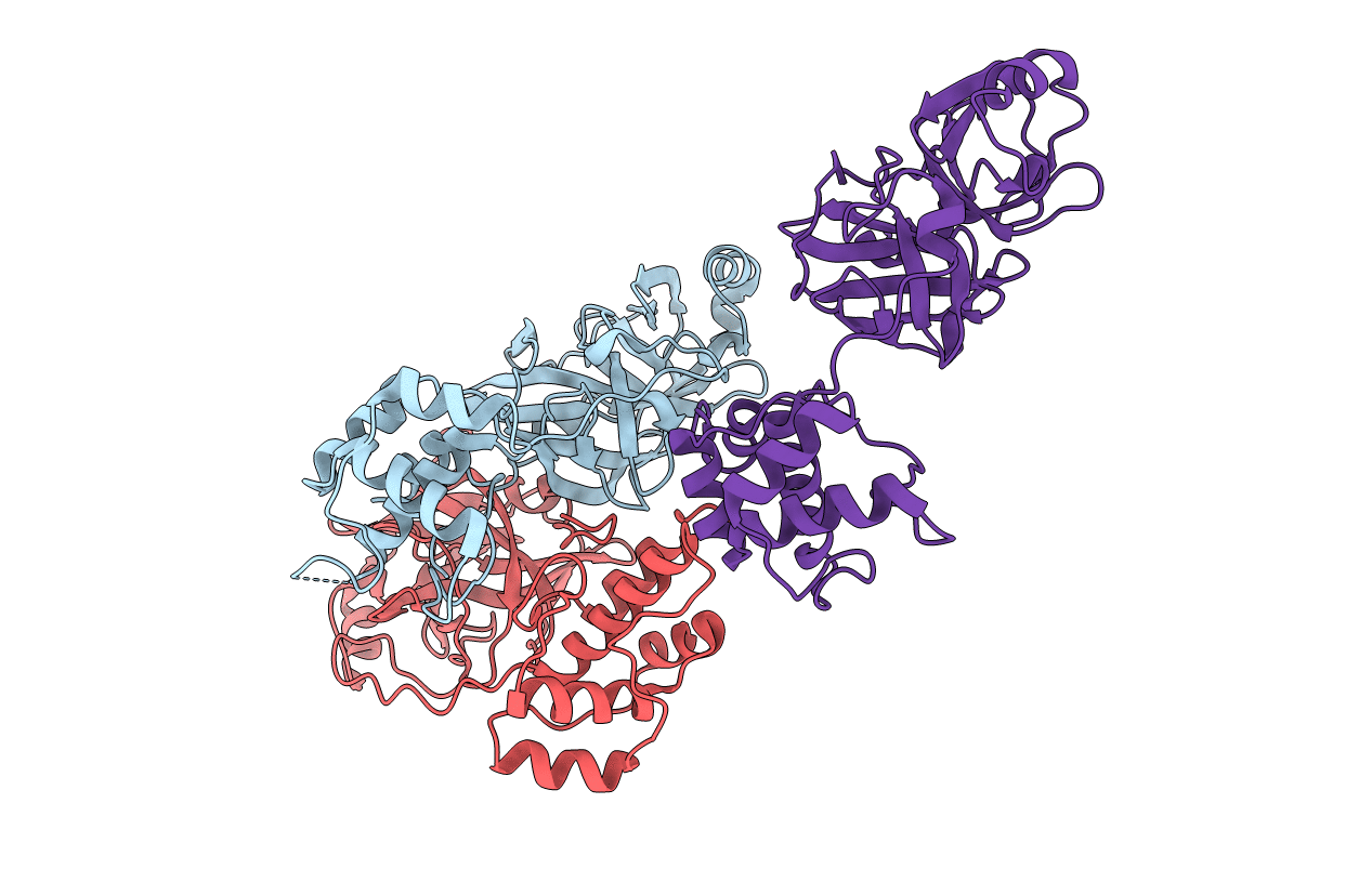 2Q6D image