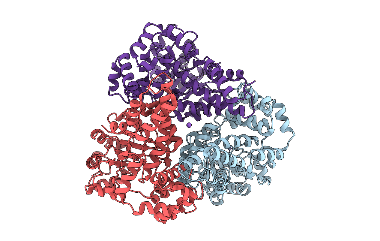 2Q6E image