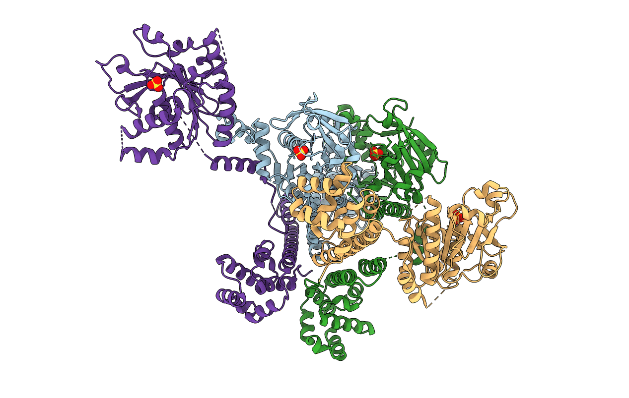 2Q6T image