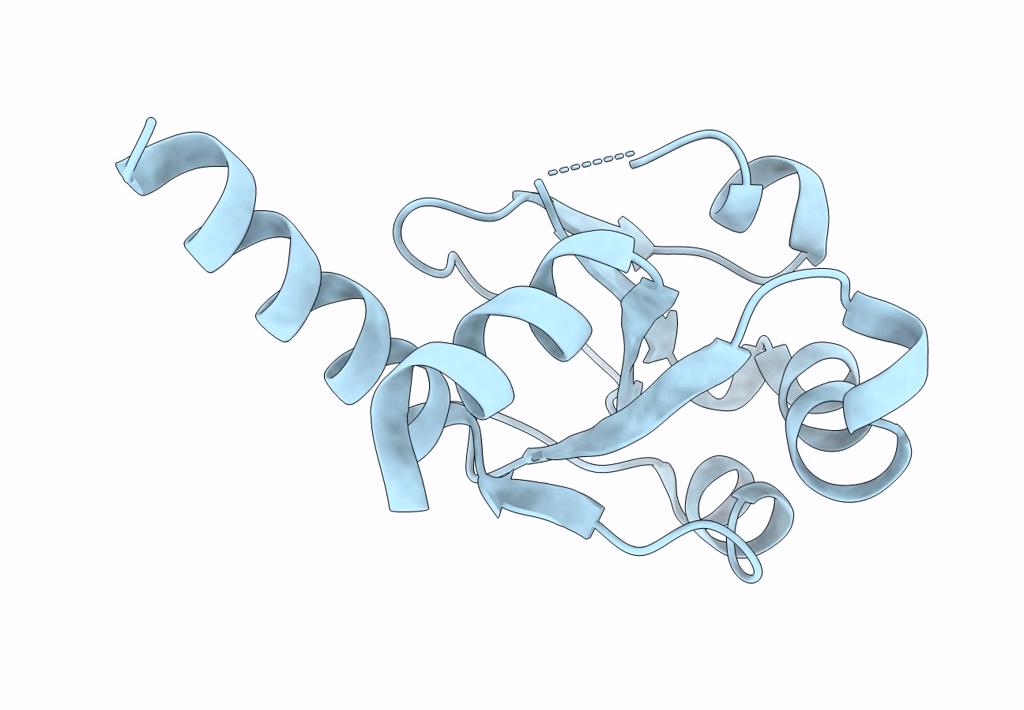 2Q82 image