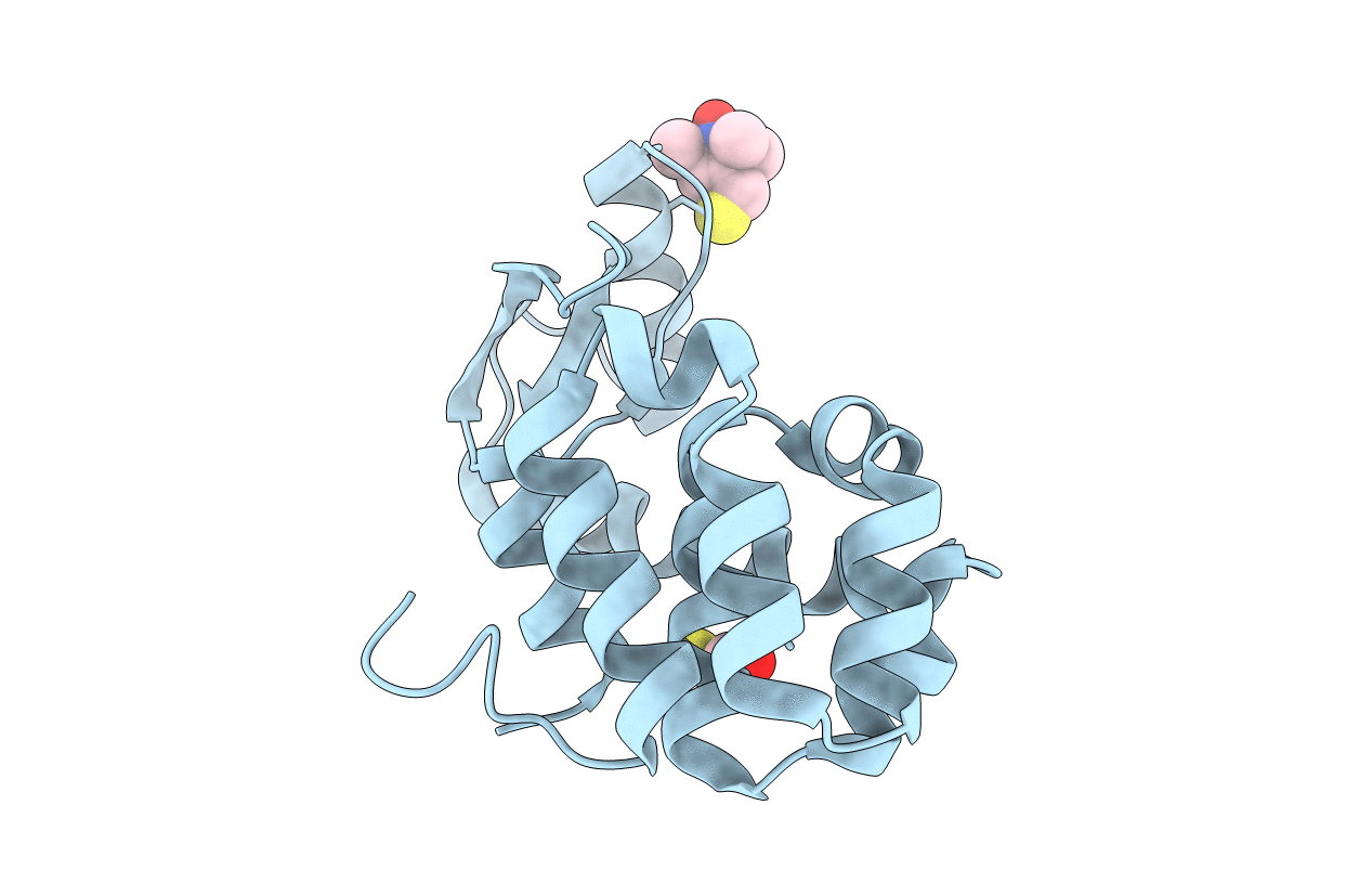 2Q9D image