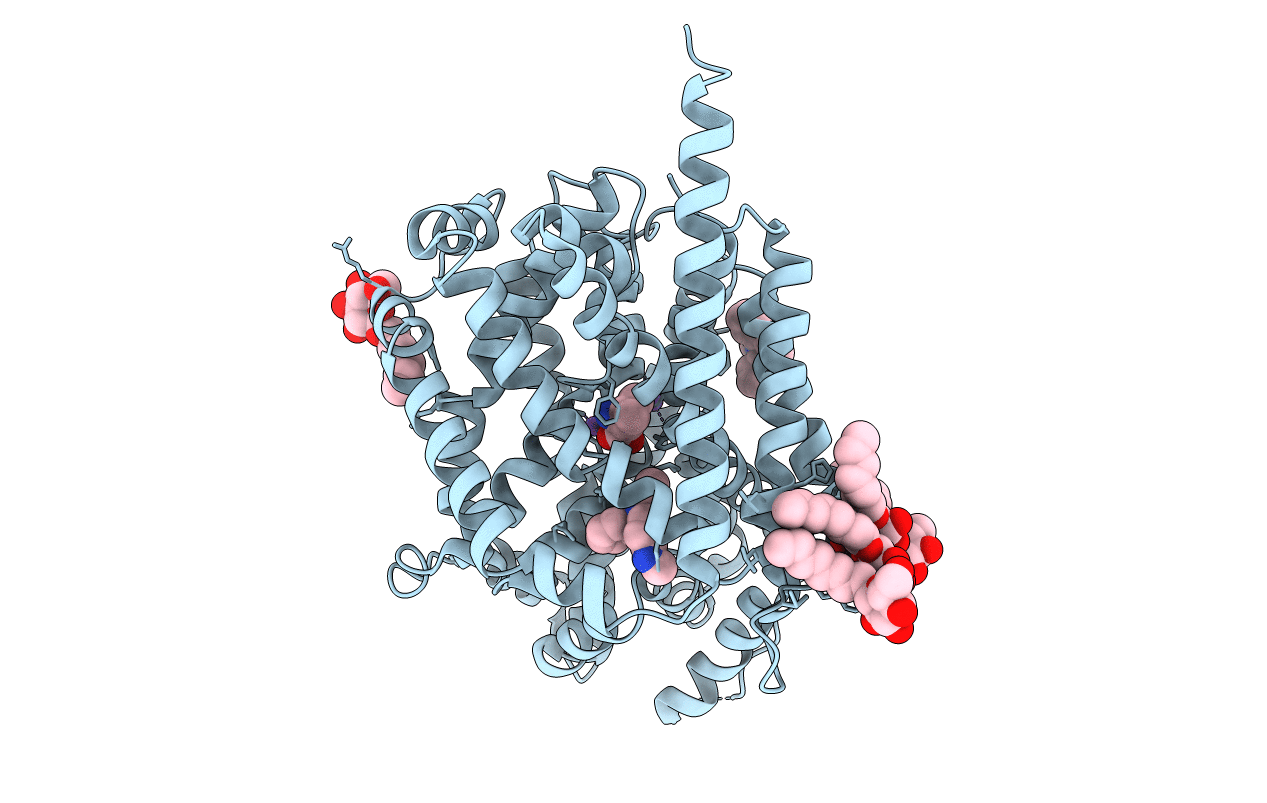 2QB4 image