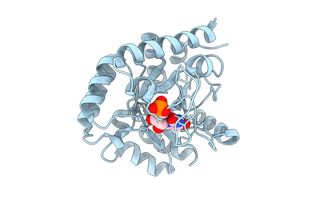 2QCM image