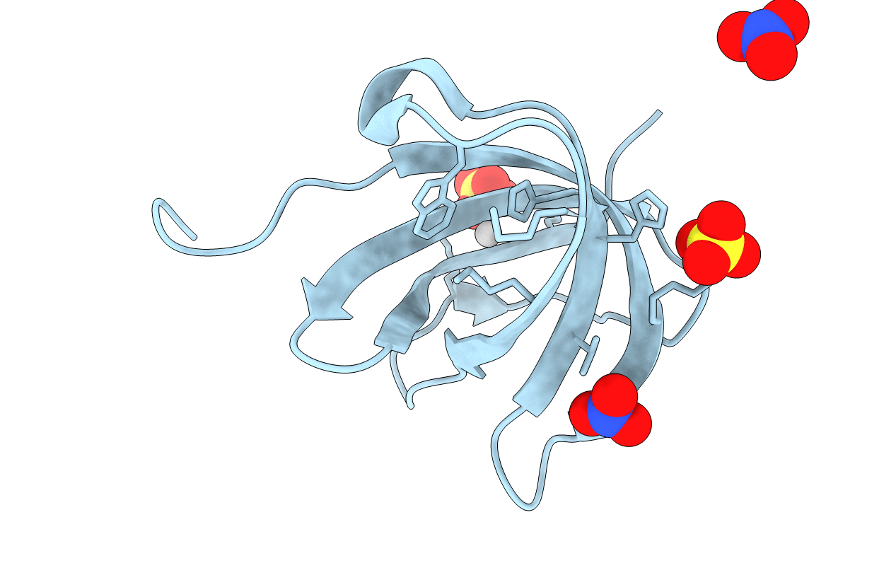 2QCP image