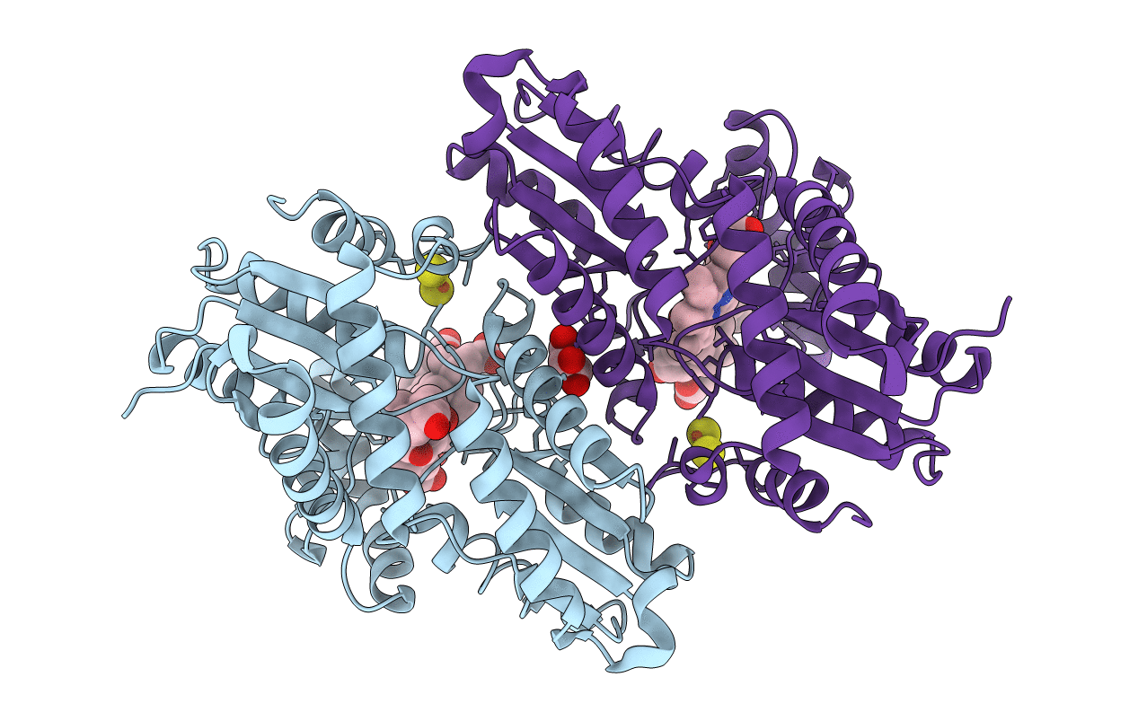 2QD3 image