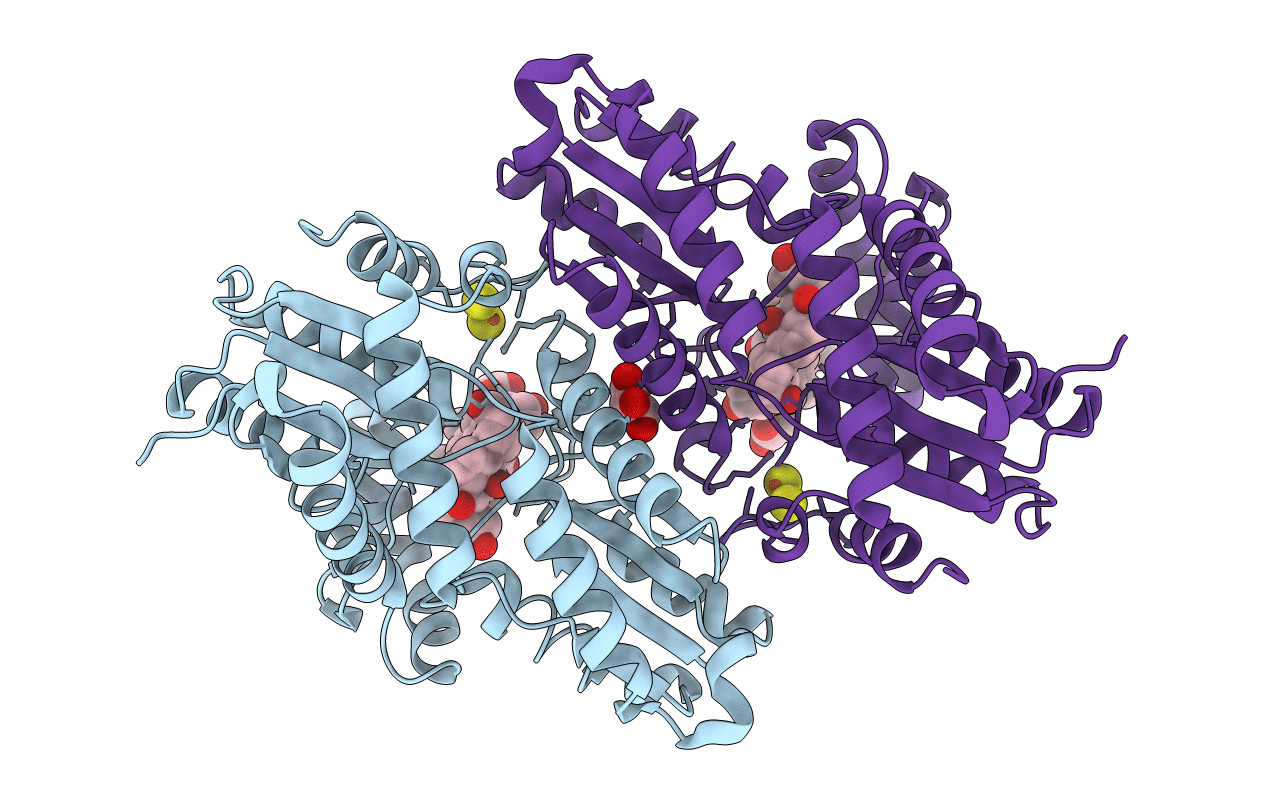 2QD4 image