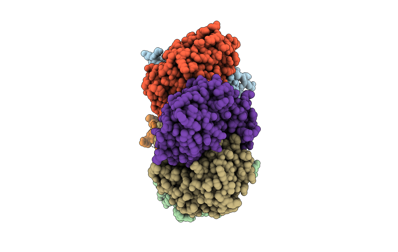 2QDK image