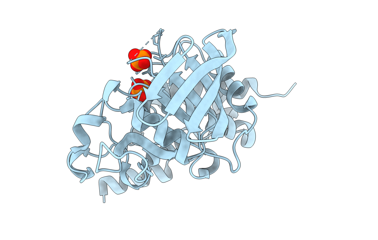 2QDM image