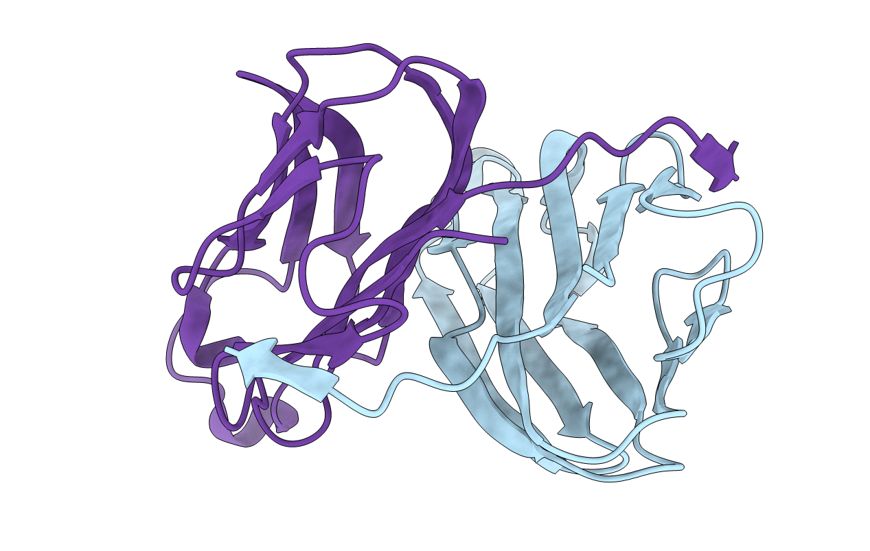 2QDN image