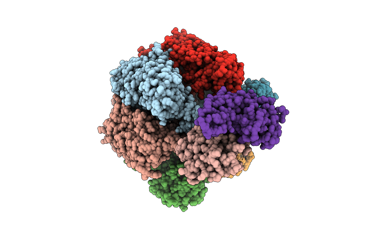 2QE7 image